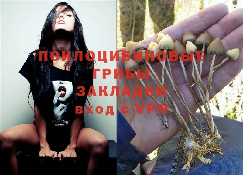 Псилоцибиновые грибы MAGIC MUSHROOMS  blacksprut маркетплейс  Макушино 