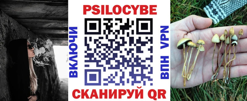 Псилоцибиновые грибы мицелий  где продают   Макушино 